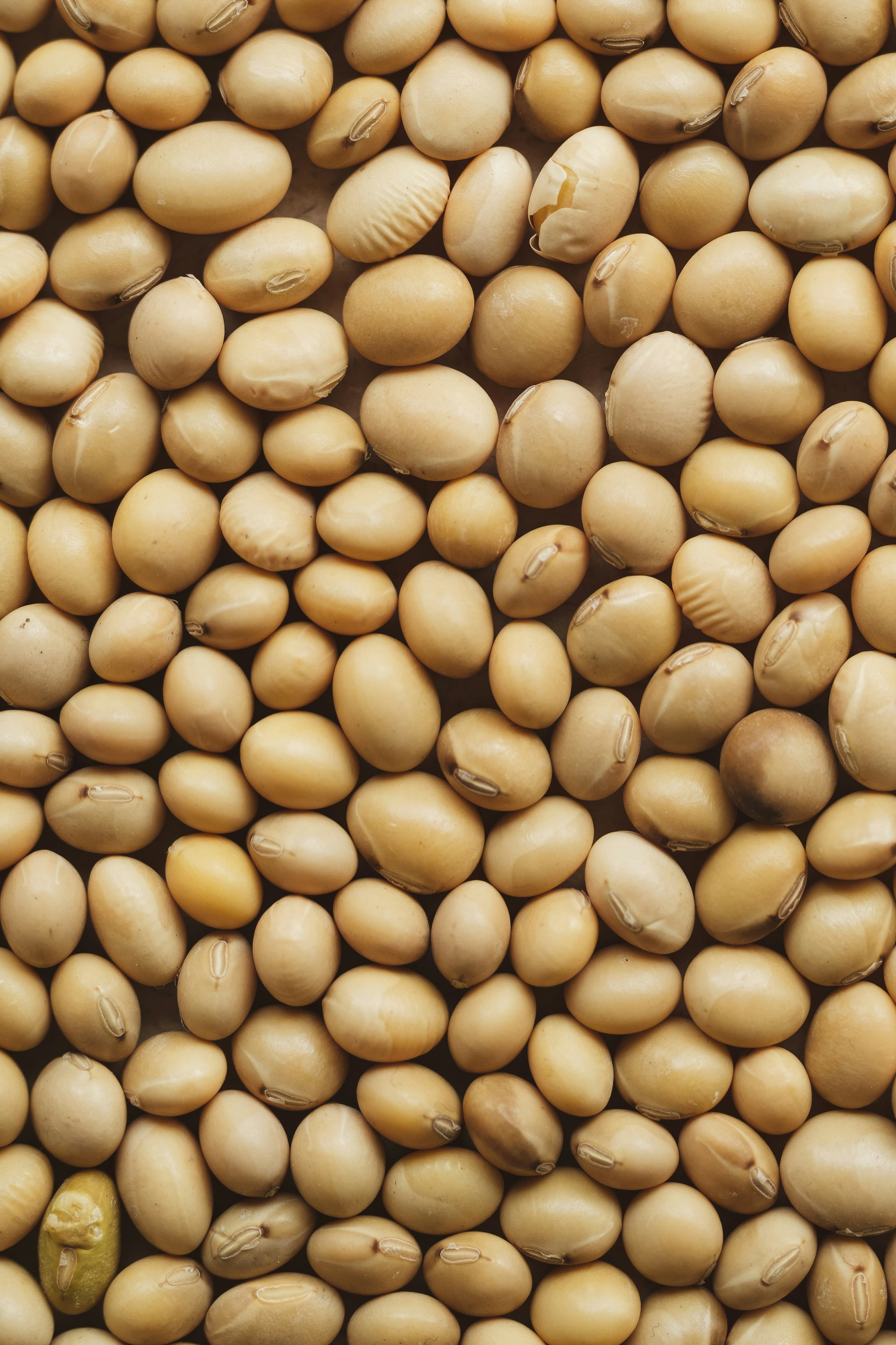 Socially Responsible