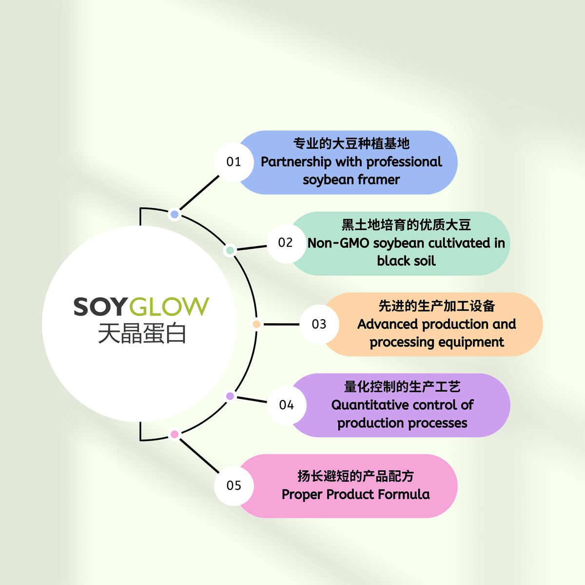 SOYGLOW values and advantages infographic